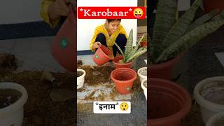 *डंडा*Utha Liya😳🤫Pet Ka*पुजारी*😅🤦🏻‍♀️ #dailyvlog #minivlog #dailyshorts #minivlogshorts #newminivlog