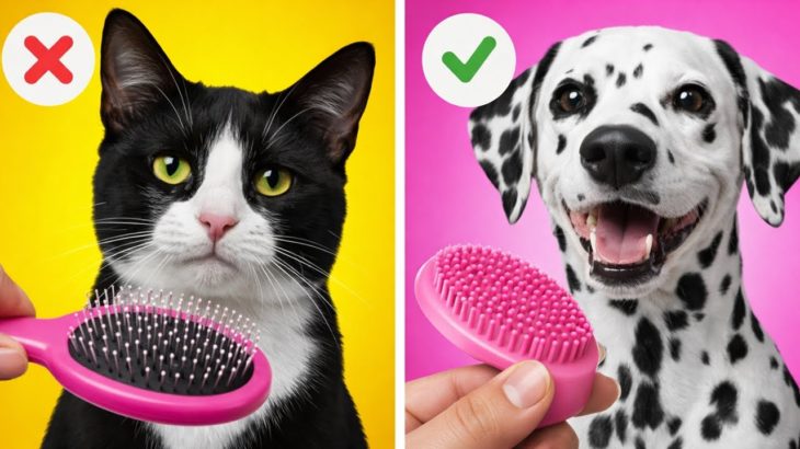Viral Pet Teeth Hacks EXPOSED! 🐱🦷 Testing Popular Cleaning Gadgets & DIY Ideas