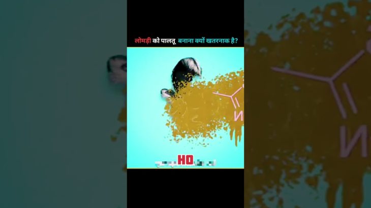 Why You Should Never Keep A Fox As A Pet 😨 | लोमड़ी को पालतू बनाना क्यों खतरनाक है?