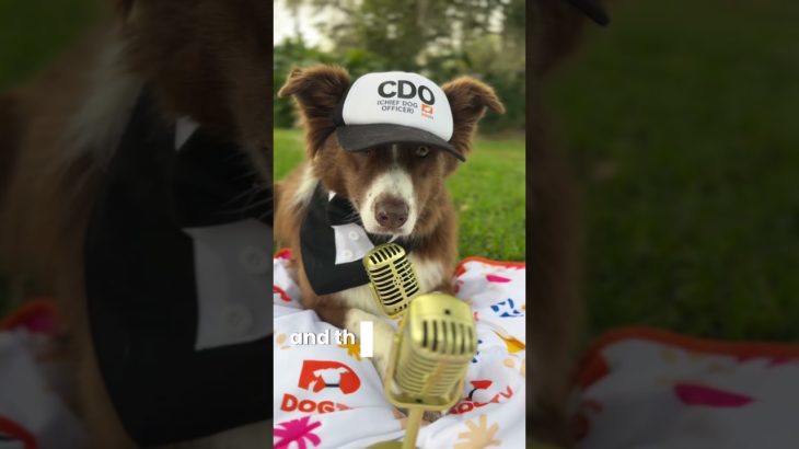 Will we see you at Global Pet Expo this year? 🐾🤗