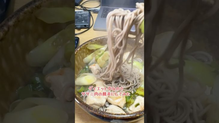 たまには食事もダイエット向けに！ #ダイエット #食事記録 #デブ #ニチパラch #空飛ぶメンサ