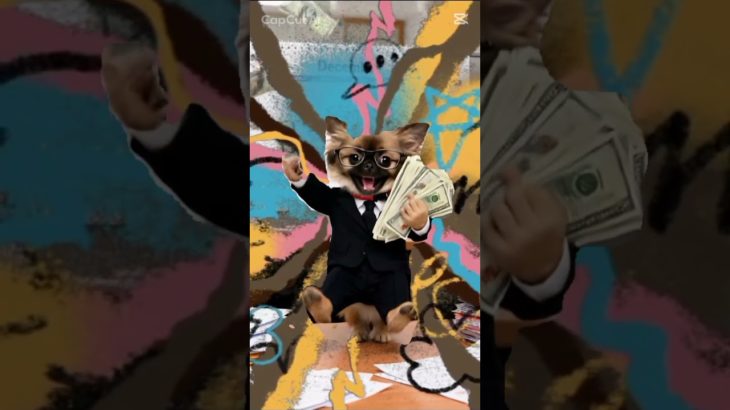 働いてまいります犬　#ペット#cutepuppy#dogstagram#puppylife