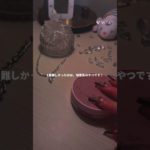 儚い系ですっ💘🥹  #生活音 #コスメ #メイク #雰囲気 #儚い #jc #fyp