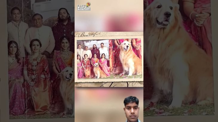 kya ambani family me bhi koi pet hai | mukash ambani | fact video | #trending #viral #facts #shorts