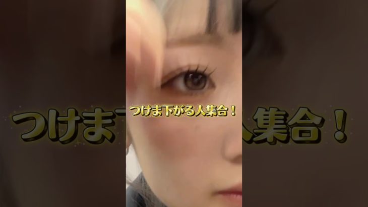 ✨絶対に下がらないつけまの付け方✨ #makeup #メイク