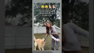 #pet #animação #animals #cachorro #cachorrosfofos #cachorrosdivertidos #pets #risos #humormemes