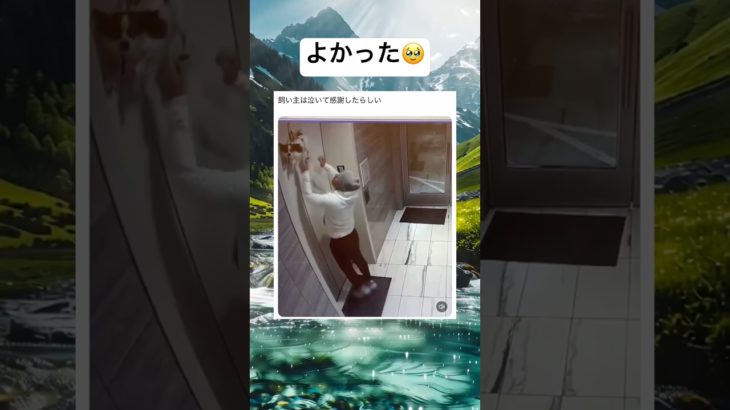 ナイス判断 #shorts #おもしろ #犬 #ペット #海外