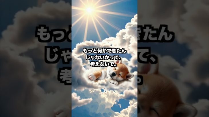 『全部足りてた』#shorts #泣ける犬 #ペットロス