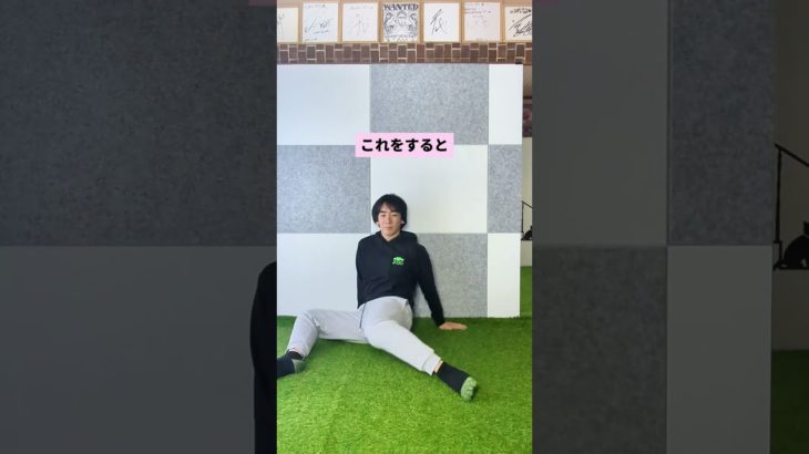 股関節 #ダイエット #脚痩せ  #shorts