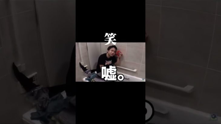 本マグロを一人で食べきれる自信のあるシルク　#フィッシャーズ #shorts #鬼ごっこ #シルクロード #マサイ #んだほ  #youtube  #おすすめ#fischers #ジュンピー