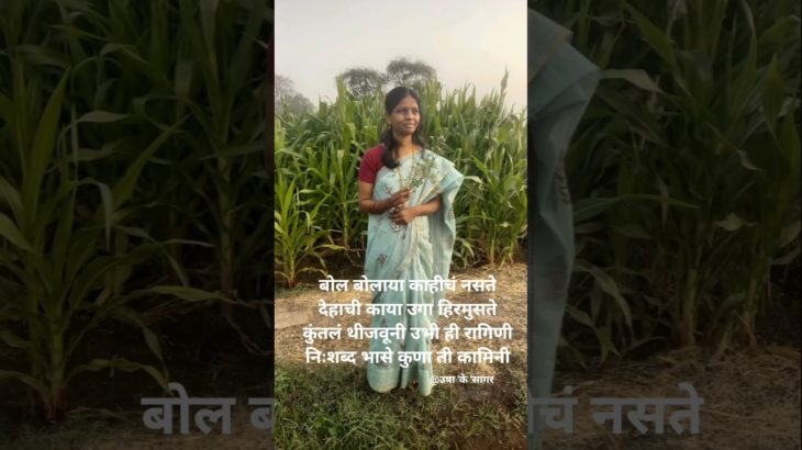 या फुलाला सुगंध मातीचा #shortvideo #lovemusic #beauty of nature #beauty of life #trendingshorts