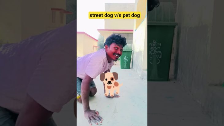 street dog v/s pet dog🐕🐕‍🦺|Indian family #shorts #comedy #funny #indian #trending #viral #dog