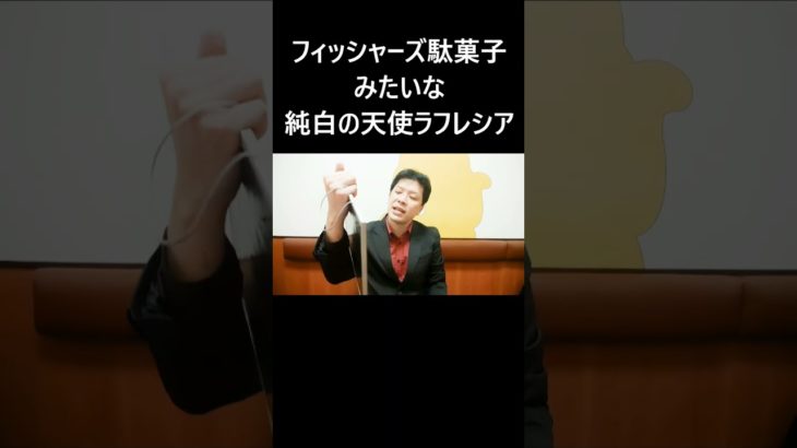 フィッシャーズ駄菓子みたいな純白の天使ラフレシア #大喜利