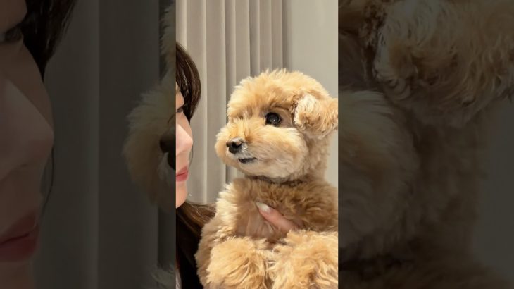 韓国っぽい毎日メイク🇰🇷데일리 메이크업