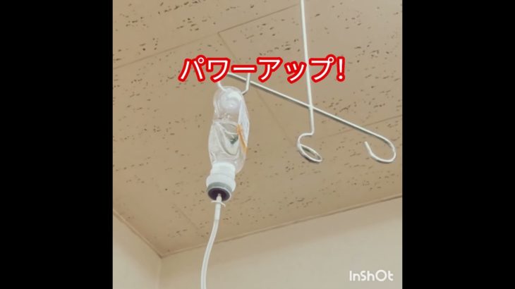 #グルメ#ダイエット