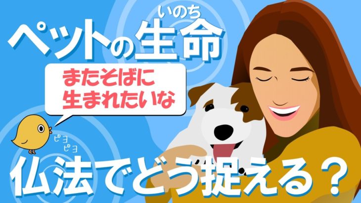 仏法でとらえるペットの生命また近くに生まれてくるのか