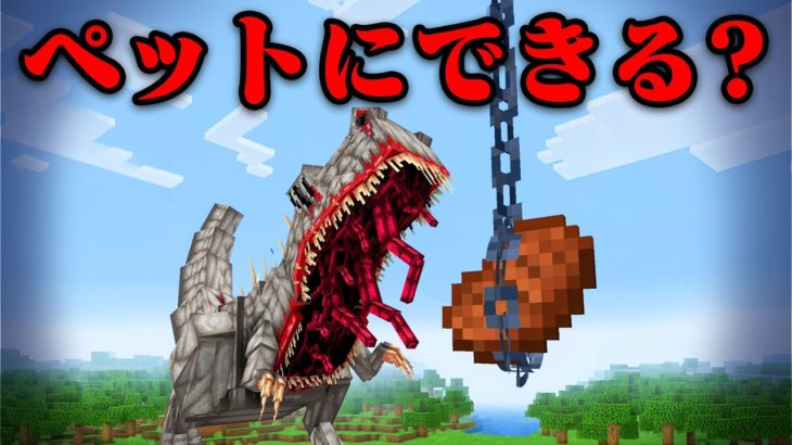『感染した恐竜』はペットとして飼える？【まいくら・マインクラフト】