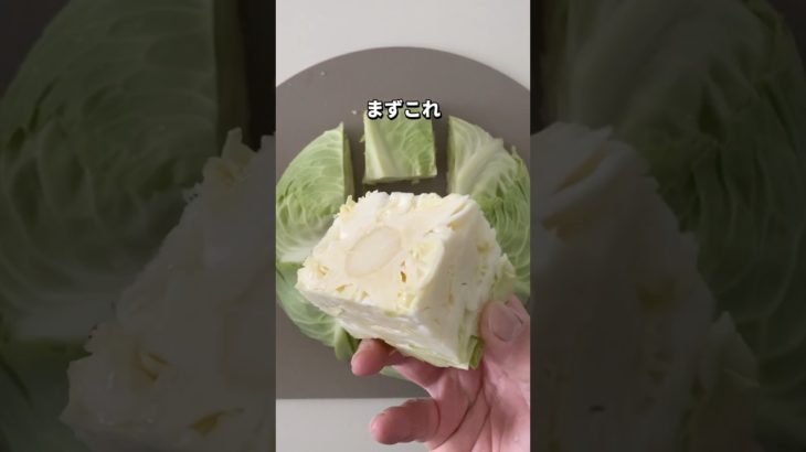 【ダイエットレシピ】キャベツサラダ #ダイエット #ダイエットレシピ #簡単レシピ #サラダレシピ #キャベツ