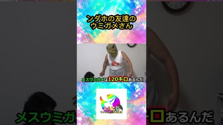 ンダホの友達のウミガメさんを紹介します【フィッシャーズ切り抜き】