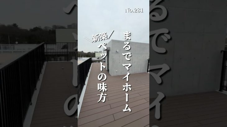 ＼新築／まるでマイホームペットの味方#東京ペット可物件 #東京ペット可賃貸 #わんにゃん不動産 #品川区賃貸#武蔵小山駅