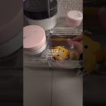 知ってました？ #コスメ #応援お願いします #メイク #生活音