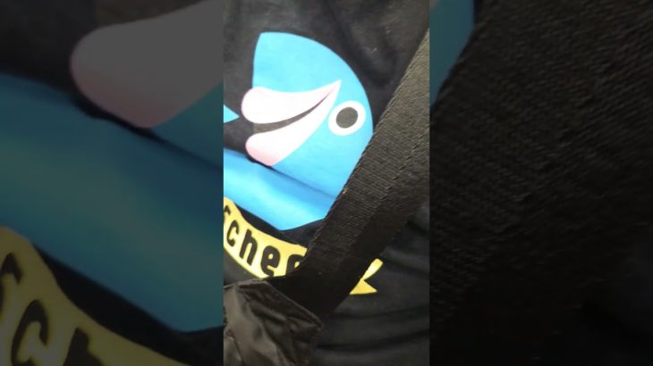 #フィッシャーズ#楽しみ！！#わくわく#ドキドキ