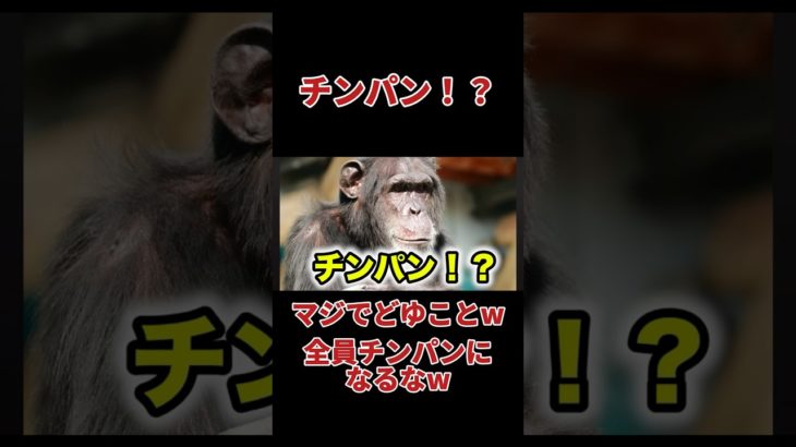 一人チンパン！？ #フィッシャーズ #フィッシャーズ切り抜き #切り抜き #おもしろ