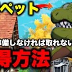 飛行ペット獲得方法紹介！今すぐ準備しよう！【オリジン】