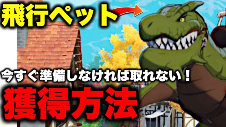 飛行ペット獲得方法紹介！今すぐ準備しよう！【オリジン】