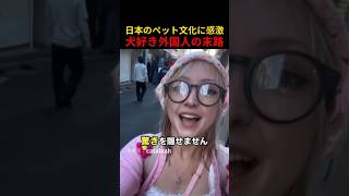 日本のペット文化に感激犬好き外国人の末路