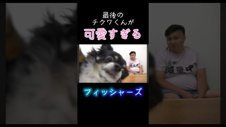 最後のチクワくんが可愛すぎる！ #フィッシャーズ切り抜き #フィッシャーズ #切り抜き #かわいい