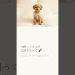 犬飼ってる人の会話あるある #犬あるある #ペットあるある #犬のいる暮らし #犬好き #犬好きさんと繋がりたい #飼い主あるある #ペット動画 #ペット動画