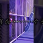 #フィッシャーズ #シルクロード  かっこいいよな新記録だして