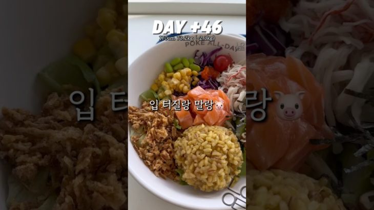 다이어트 인듯 먹방인듯 아닌듯 #나약한다이어터 #나이어터