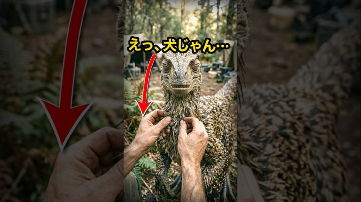 【危険】恐竜の機嫌を損ねたら終わり…凶暴ラプトルを秒で手懐ける神ワザ  #雑学 #動物