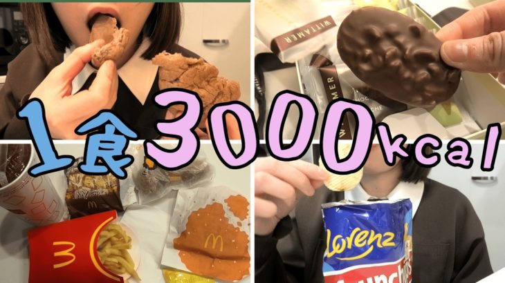 【リバウンド】春の高カロリー摂取祭り【デブエット】