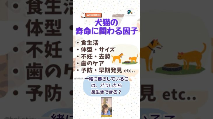 【④手作り食 vs ペットフードどちらが長生き？　#獣医師 　#手作り食　#ペットフード