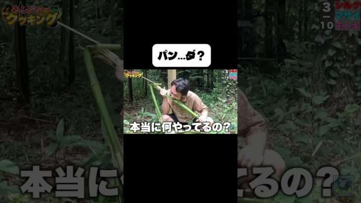 パンダみたいなシルクさんw