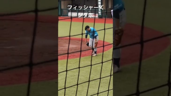 フィッシャーズンダホ#フィッシャーズ #ンダホ #野球 #試合 #ジャイアンツ球場 #youtuber #フィッシャーズ切り抜き #シルクロード #野球選手 #野球ニュース
