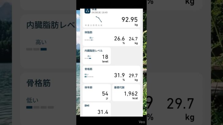 【2日目】Ｈｕｓｂａｎｄ　Ｄｉｅｔ　Ｄａｙ２ #ダイエット #アラフォー #リブート