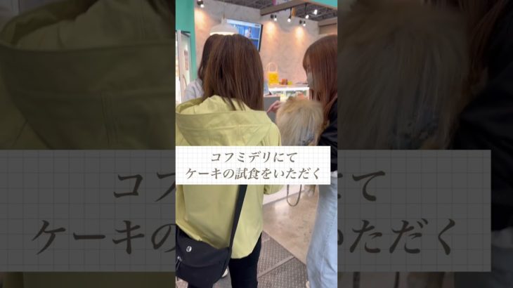 【インターペット2026】ポメラニアン兄弟と参加! #インターペット #cutedog #dog #買い物 #イベント #インターペット2026 #ポメラニアン