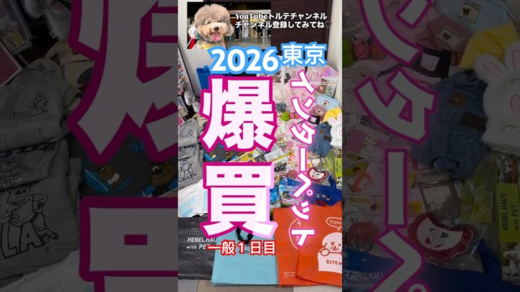 【衝撃】爆買いで財布崩壊…インターペット東京2026がヤバい🐶 #shorts #インターペット #dog