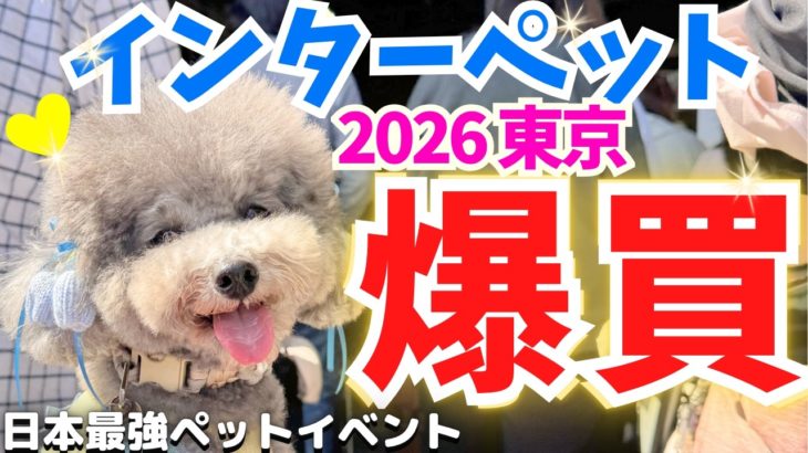 【インターペット2026】最新グッズ爆買いが止まらない…総額〇〇万円🐶【東京ビッグサイト】【犬イベント】1日目後編 【東7・8・3ホール厳選出展者24社紹介・過去最大級600社】