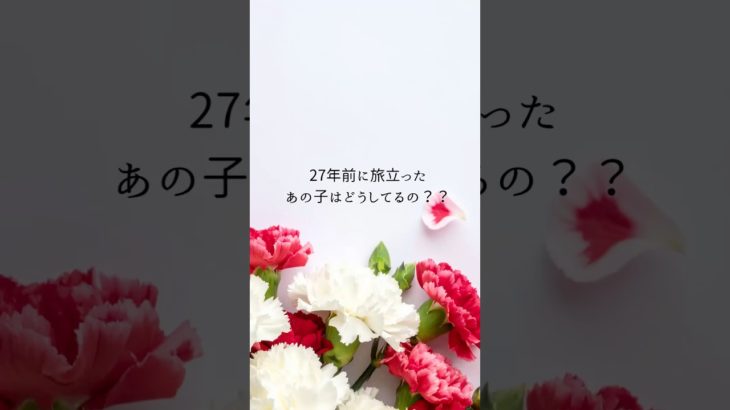 【お空はペット】27年間の奇跡　#アニマルコミュニケーション  #アニマルコミュニケーター  #スピリチュアルヒーラー  #ペットロス  #ペット  #タロットカード  #shorts