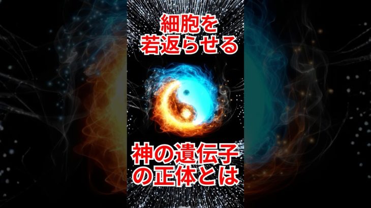 【神のスイッチ】寿命を変える「サーチュイン遺伝子」健康・ダイエット#ダイエット #予防医学 #美容 #若返り #糖質制限 #ケトジェニック #老化防止 #40代ダイエット #50代ダイエット#健康
