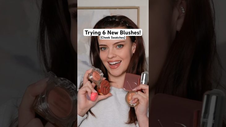 6 NEW Blushes! #wetnwildmakeup #ysl #tirtir #blush #blushswatches #swatches #makeup #beauty