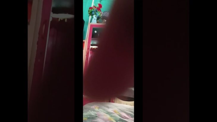 90% People Don’t Know This⁉️🐾#Cat#pet care provider#Cat#Best pet supplies#funny animals#funnycats