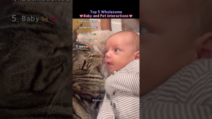 Baby Cuddles! 😍❤️ (Top 5 Most Wholesome Baby and Pet Interactions)