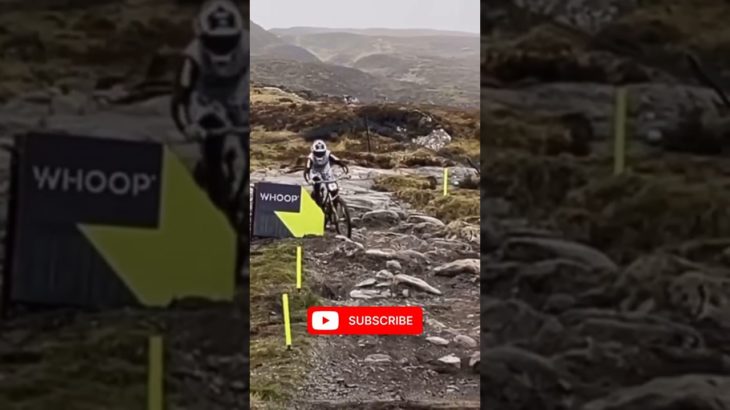 Black beauty 😍😍😍 #shorts #shortsfeed #love