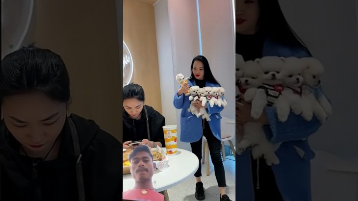 #Cut Puppy 🐶#Dog Lover Pet Happiness #Baby #Hugpet Beautifully #heartlove #greenscreen #youtubevideo